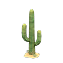 Cactus|Closed